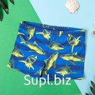 Плавки купальные для мальчика KAFTAN «Акулы», рост 110-116 см (32), синие