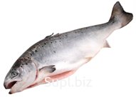 Кета ПСГ (22 кг мешок)