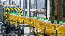 Refined sunflower oil in bottles of 5 liters