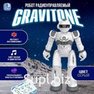 Робот на пульте управления IQ BOT GRAVITONE, радиоуправление, интерактивный, русское озвучивание, цвет серый