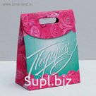 Пакет подарочный «Подарок», 18 × 23 × 10 см