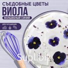 Цветы съедобные «Виола» для капкейков, тортов, куличей, напитков, 5 шт.
