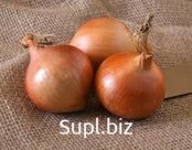 Лук