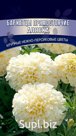 Неприхотливое однолетнее растение. Пышный высокий куст до 50 см. Соцветия очень крупные, густые, нежного персикового окраса, диаметром  до 12 см. Длительное цв…