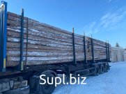 Дрова сосновые