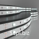 Светодиодная лента Elektrostandard, IP20, 5050, 30LED/м, 12В, свечение холодное белое