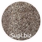 Семена фестулолиума