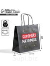 Пакет подарочный, упаковка, «Сюрпрайз», 22 х 22 х 11 см