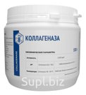 Коллагеназа - Фермент для расщепления коллагена