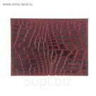Обложка для автодокументов, цвет бордовый