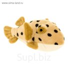 Мягкая игрушка «Рыба-шар» 25 см