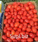 Оптовые продажи помидор