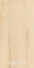 Керамогранит Italon Element Acero Nat Ret 60x120