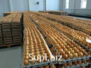 яйцо оптом от фуры цена 3.50 за штуку