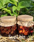 Варенье из Сосновой Шишки