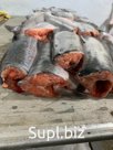 Горбуша свежемороженая обезглавленная