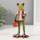 Фигурка полистоун лак «Лягуха-доктор», 8.8×6×16.2 см