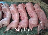 Мясо кролика
