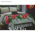 Постельное бельё 2 сп., Pastilla 3D рис 4548 175*217см, 175*220 см, 70*70 см 2 шт., хл, 125гр