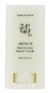 Matte sun stick : Mugwort + Camilia  18g