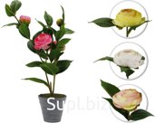 Decorative Peony flower in a pot. Size: 125x125x440mm.