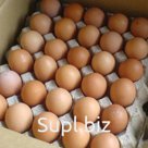 Яйцо куринное С0 С1 С2