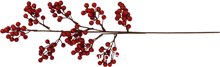Decorative branch with berries. Size: 14x3x68 cm. Color: red.