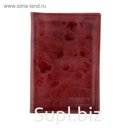 Обложка для автодокументов, цвет бордовый вестленд