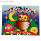 Водная раскраска «Мудрая сова»