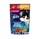 Корм влажный для кошек Felix двойная вкуснятина говядина-птица 75 гр., пауч