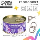 Набор головоломок «Время блистать умом»,в банке
