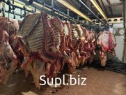 Говядина оптом