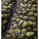 Картофель продовольственный сорт Гала калибр 5+