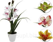 Decorative Cymbidium flower in a pot. Size: 95x95x390mm.