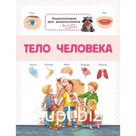 Тело человека