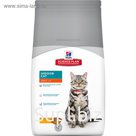 Сухой корм Hill's Cat Hairball indoor для домашних кошек, выведение шерсти, курица, 300 г