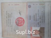 Гречневая крупа
