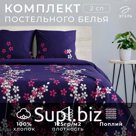 Постельное бельё 2-спальное «Этель. Черничные ночи», поплин
