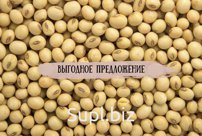 ЭЛИТНЫЕ СЕМЕНА СОИ ОТЕЧЕСТВЕННОЙ ДАЛЬНЕВОСТОЧНОЙ СЕЛЕКЦИИ,БИОТЕХНОЛОГИЯ ВЫРАЩИВАНИЕ СОИ