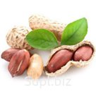 Арахис вкусовой (Бекон; Томат и зелень; Сыр и чеснок;Шашлык;Грибы со сметаной;Сметна и зелень;Аджика;Холодец с хреном;Колбаски охотничьи