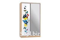 Шкаф-купе Рио 9-600 88