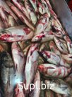 Рыба мороженая.