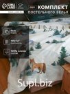 Постельное бельё евро «Этель» Winter village, бязь
