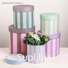 Набор коробок 5 в 1 «Полоски«, 23 × 23 × 25‒15 × 15 × 15 см
