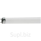 Лампа люминесцентная Philips TL-D G13 18W/33-640 SLV (короткая)