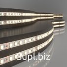 Светодиодная лента Elektrostandard, IP20, 120LED/м, 24В, свечение тёплое белое