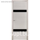 Дверное полотно «Техно 1», 2000 × 800 мм, горизонтальное стекло чёрное, цвет ива