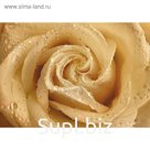 Фотообои Утренняя роза ЛЮКС 1,94х1,36 м (из 4 листов)