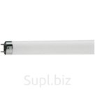 Лампа люминесцентная Philips TL-D G13 36W/33-640 SLV (длинная)