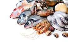 Морепродукты